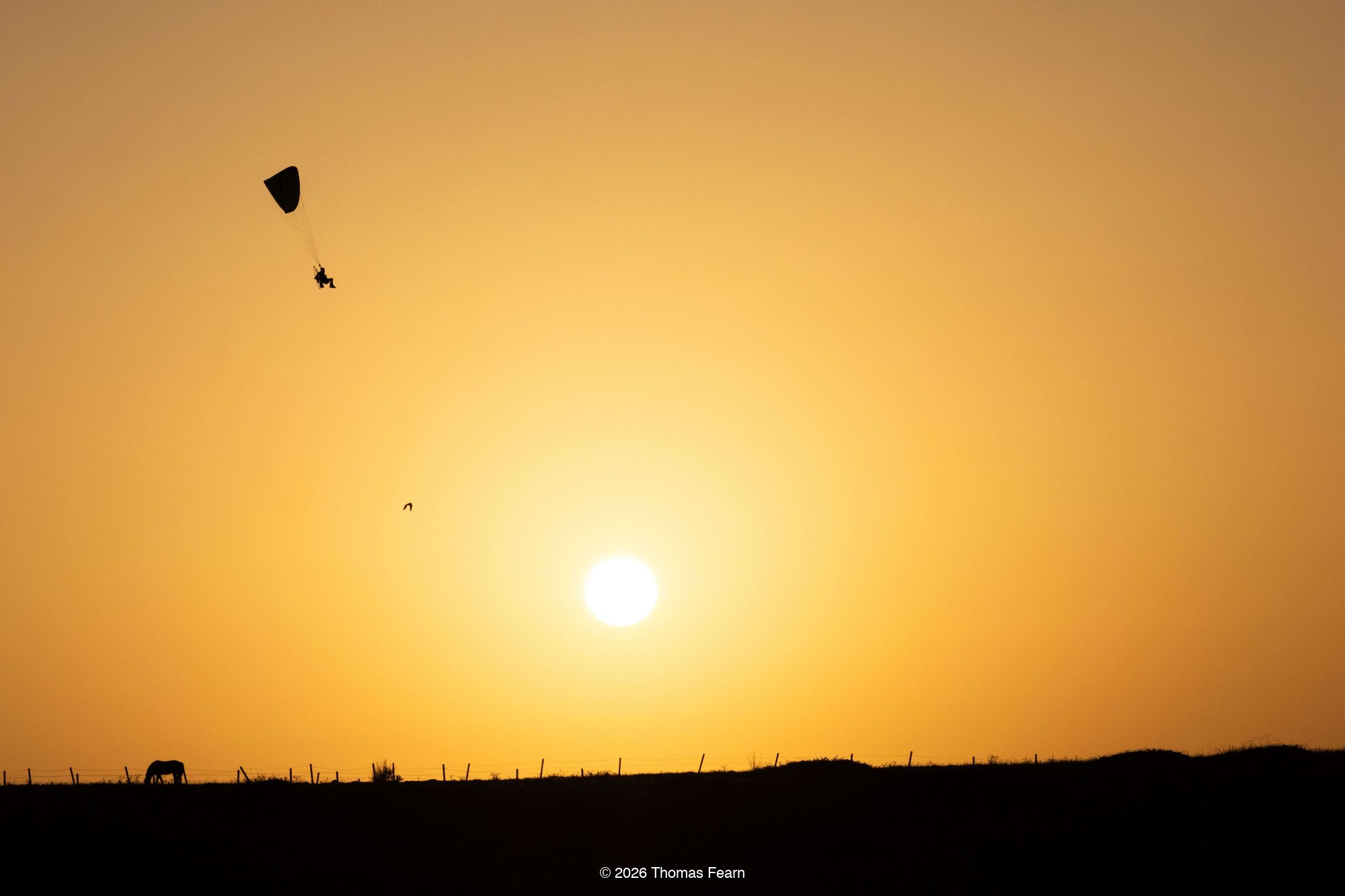 A Glowing Sun Sinks over Open Farmland in a Warm Golden